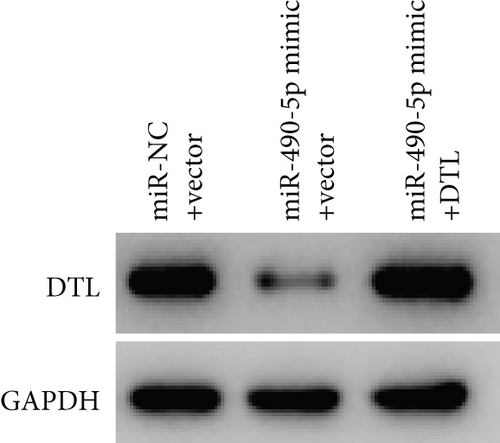 Details are in the caption following the image