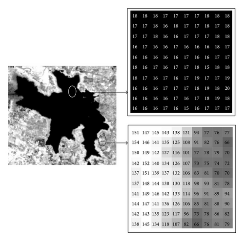 Details are in the caption following the image