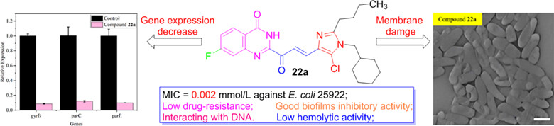 Discovery of Alkaloid Quinazolone-Derived Imidazolenones with Novel Structural Scaffolds of Multitargeting Antibacterial Potential