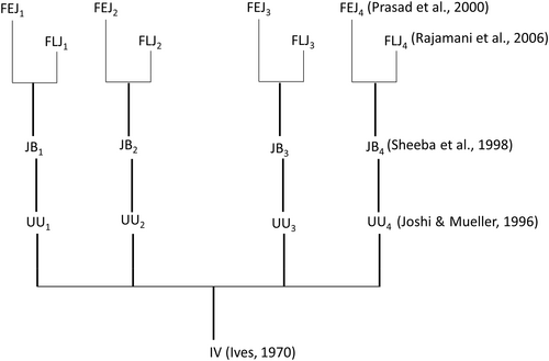 Details are in the caption following the image