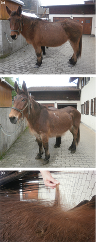Details are in the caption following the image