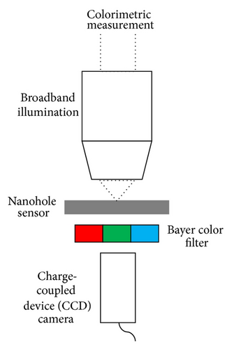 Details are in the caption following the image