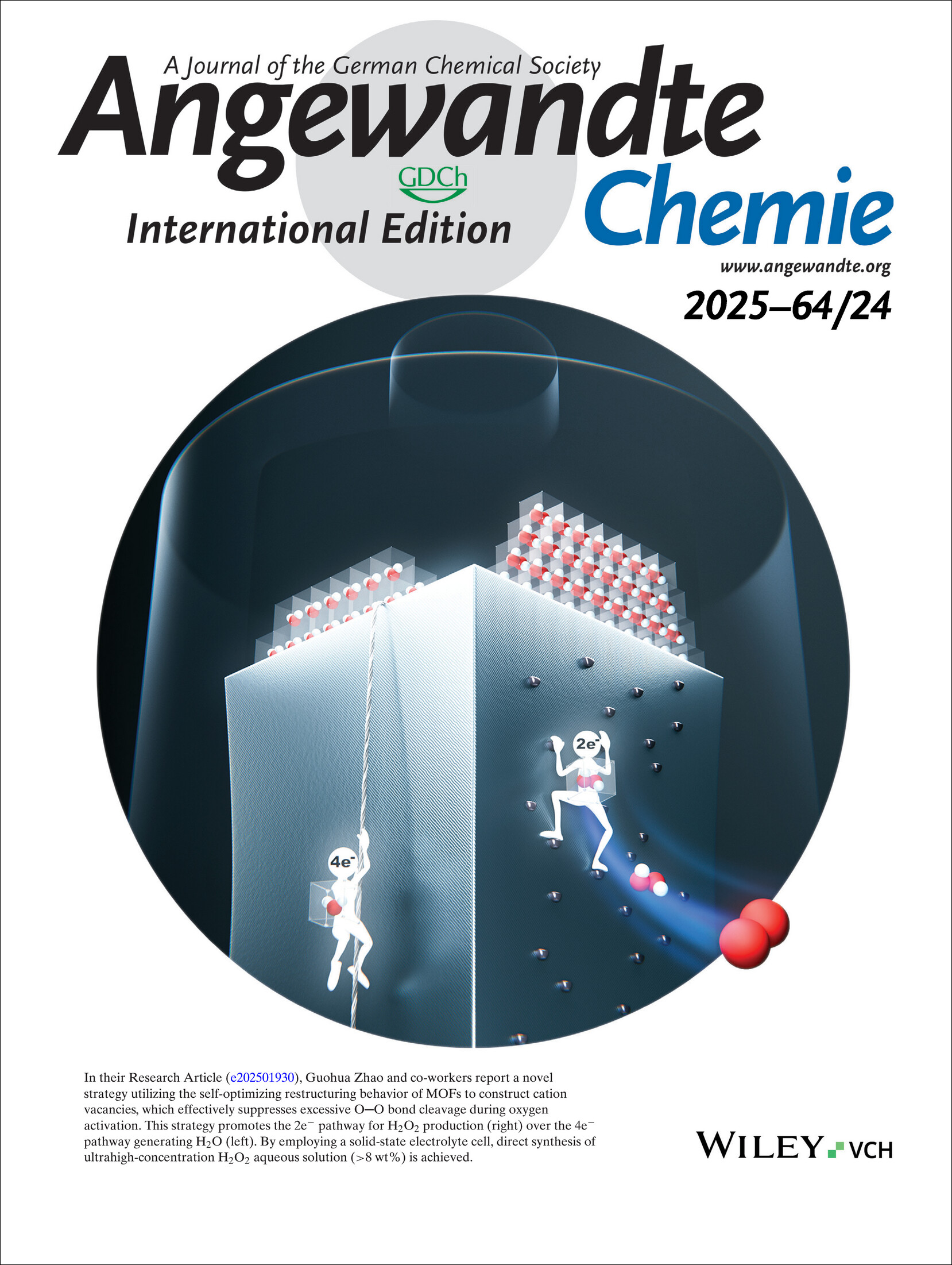 Frontispiece: Self-Optimized Reconstruction of Metal–Organic Frameworks Introduces Cation Vacancies for Selective Electrosynthesis of Hydrogen Peroxide Volume 64 Issue 24, 2025