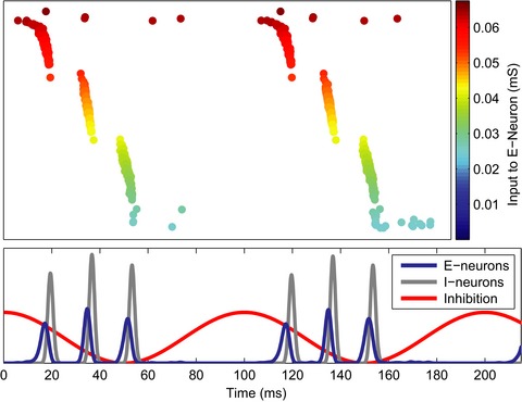 A biologically plausible mechanism for neuronal coding organized by the phase of alpha oscillations