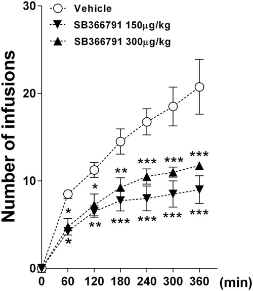 Impairment of opiate-mediated behaviors by the selective TRPV1 antagonist SB366791