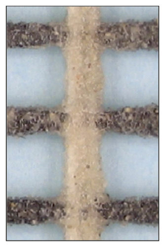 Details are in the caption following the image