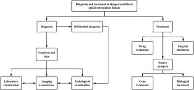 Diagnosis and Treatment of Skipped Multifocal Spinal Tuberculosis Lesions