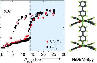 Selective Adsorption of CO2 from Light Gas Mixtures by Using a Structurally Dynamic Porous Coordination Polymer