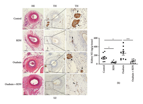 Details are in the caption following the image Details are in the caption following the image