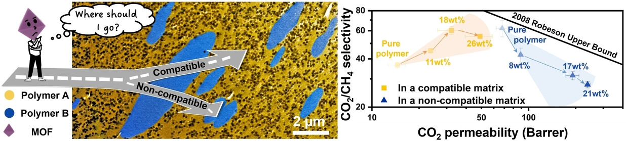 Self-Sorting of Interfacial Compatibility in MOF-Based Mixed Matrix Membranes