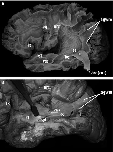Details are in the caption following the image Details are in the caption following the image