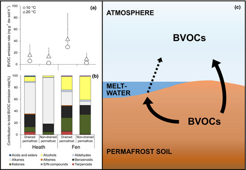 Volatile emissions from thawing permafrost soils are influenced by meltwater drainage conditions