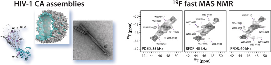 Fast Magic-Angle Spinning 19F NMR Spectroscopy of HIV-1 Capsid Protein Assemblies