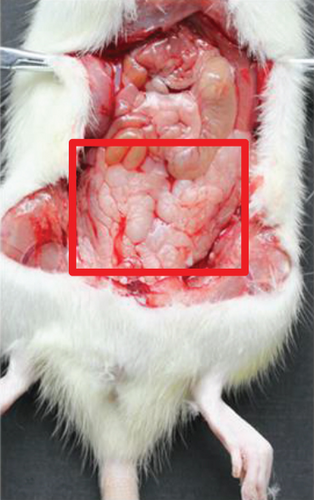 Details are in the caption following the image Details are in the caption following the image
