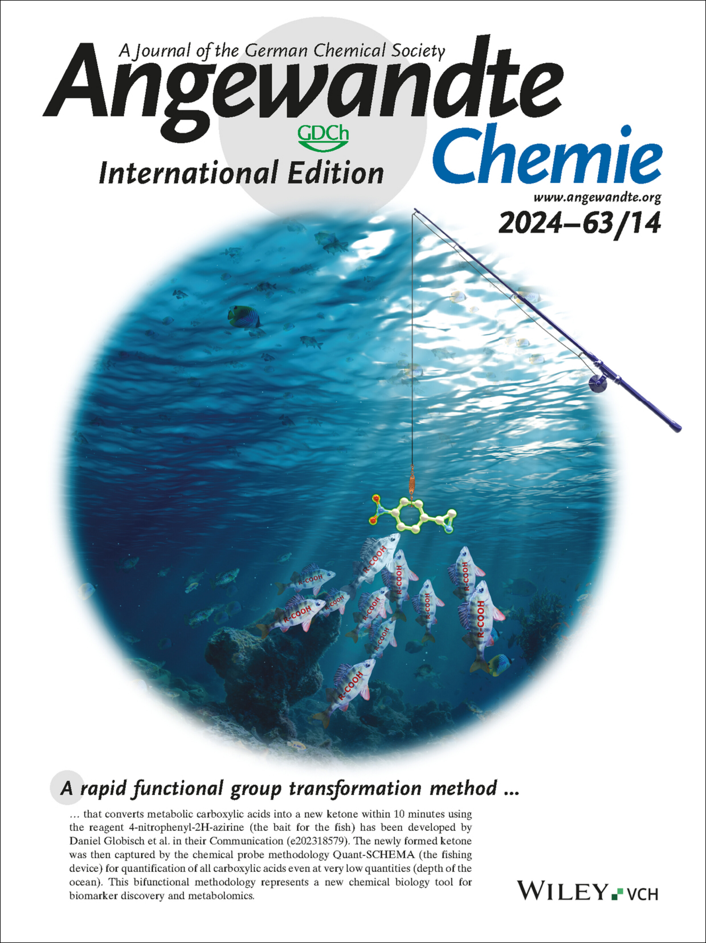 Back Cover: Rapid and Bifunctional Chemoselective Metabolome Analysis of Liver Disease Plasma Using the Reagent 4-Nitrophenyl-2H-azirine (Angew. Chem. Int. Ed. 14/2024) Volume 63 Issue 14, 2024