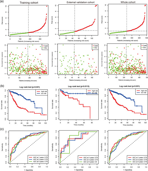Immune-related long noncoding RNA signature for predicting survival and immune checkpoint blockade in hepatocellular carcinoma