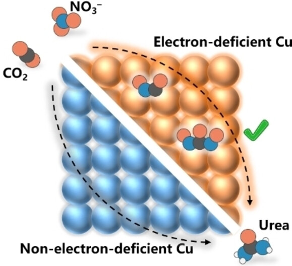 Electron Deficiency is More Important than Conductivity in C−N Coupling for Electrocatalytic Urea Synthesis