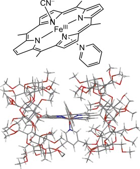 Supramolecular Iron Porphyrin/Cyclodextrin Dimer Complex that Mimics the Functions of Hemoglobin and Methemoglobin