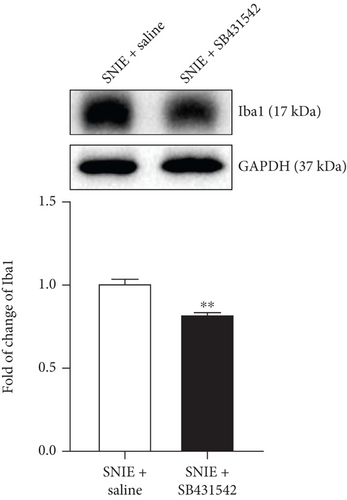 Details are in the caption following the image