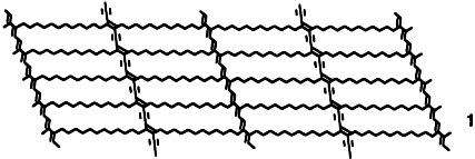 Periodic Structure of a Single Sheet of a Clothlike Macromolecule (Atomic Cloth) Studied by Scanning Tunneling Microscopy