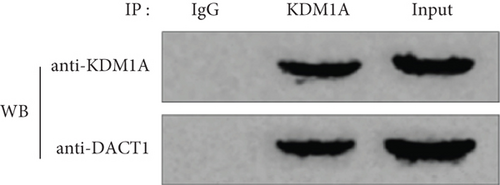 Details are in the caption following the image