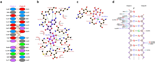Details are in the caption following the image Details are in the caption following the image