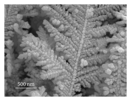 Details are in the caption following the image