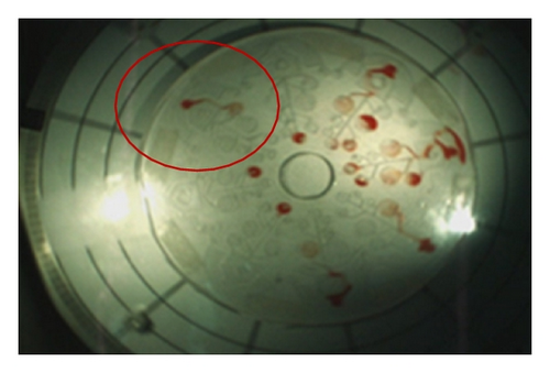 Details are in the caption following the image