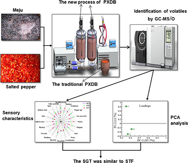 Characterization of volatile compounds of Pixian Douban fermented in closed system of gradient steady-state temperature field