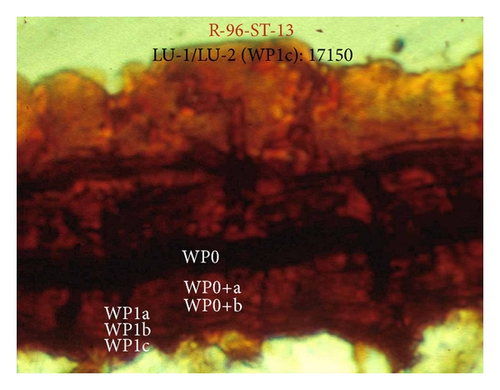 Details are in the caption following the image