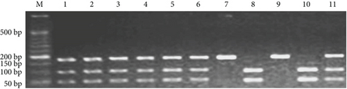 Details are in the caption following the image