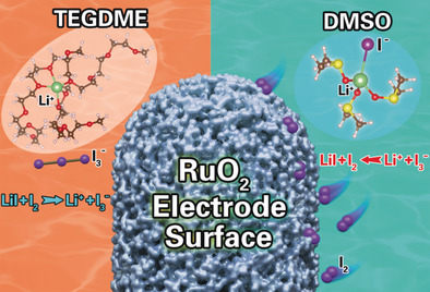 Inverting the Triiodide Formation Reaction by the Synergy between Strong Electrolyte Solvation and Cathode Adsorption for Lithium–Oxygen Batteries