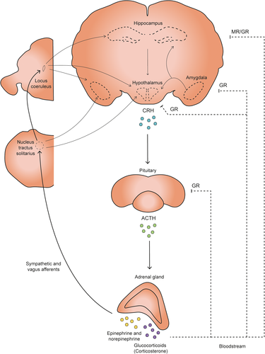 Details are in the caption following the image