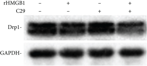 Details are in the caption following the image