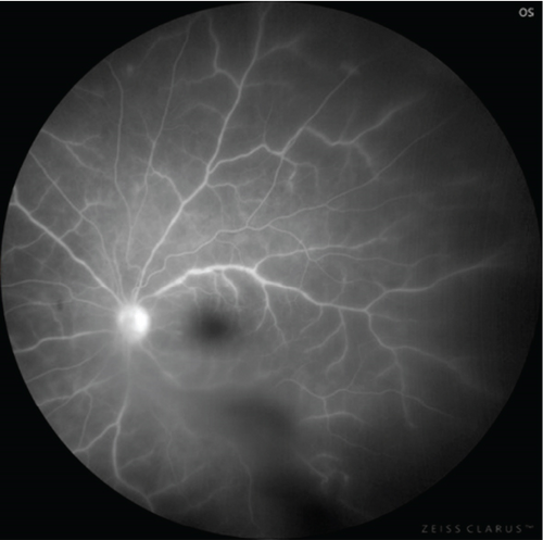 Details are in the caption following the image Details are in the caption following the image
