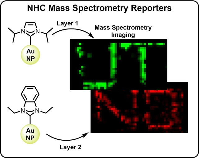 Giving Gold Wings: Ultrabright and Fragmentation Free Mass Spectrometry Reporters for Barcoding, Bioconjugation Monitoring, and Data Storage
