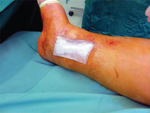 Details are in the caption following the image Details are in the caption following the image