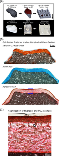 Details are in the caption following the image Details are in the caption following the image