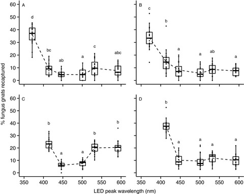 Visual orientation of the black fungus gnat, Bradysia difformis, explored using LEDs