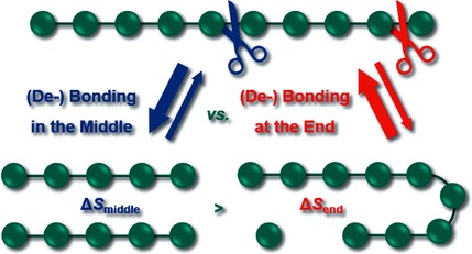 Entropy-Driven Selectivity for Chain Scission: Where Macromolecules Cleave