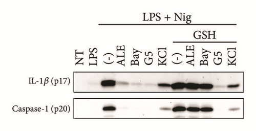 Details are in the caption following the image