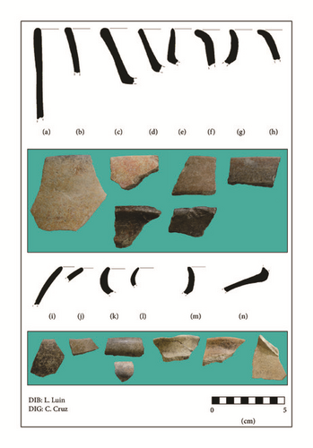Details are in the caption following the image Details are in the caption following the image