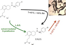 Crystallization of Terutroban Sodium Salt Hydrate from the Deliquescent State