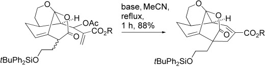 All-Carbon Intramolecular Conjugate Displacement Reactions: An Effective Route to Carbocycles