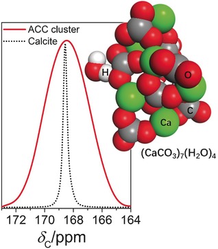 Distinct Short-Range Order Is Inherent to Small Amorphous Calcium Carbonate Clusters (<2 nm)