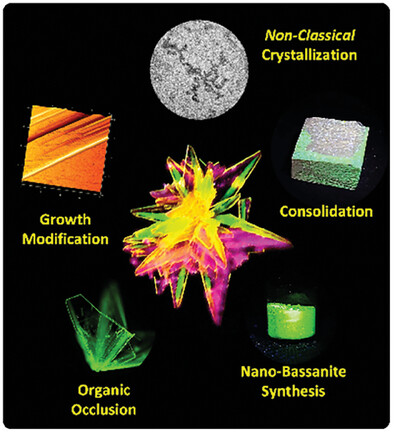 Bio-Inspired Fluorescent Calcium Sulfate for the Conservation of Gypsum Plasterwork