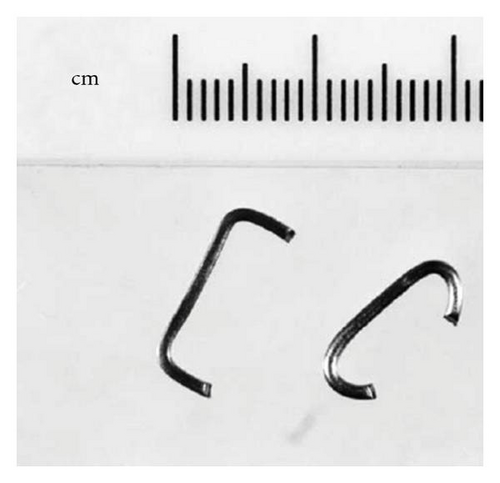 Details are in the caption following the image