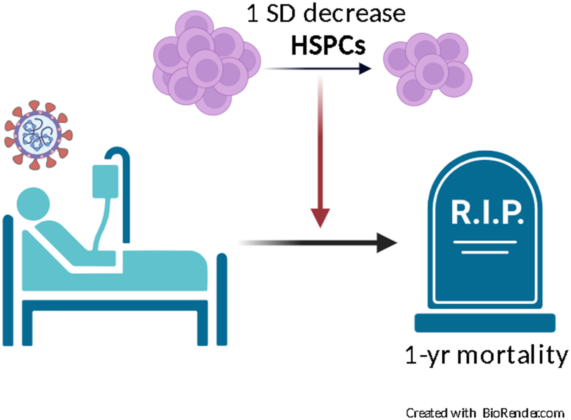Circulating haematopoietic stem cells and long-term outcomes of COVID-19