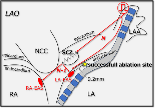 Details are in the caption following the image Details are in the caption following the image