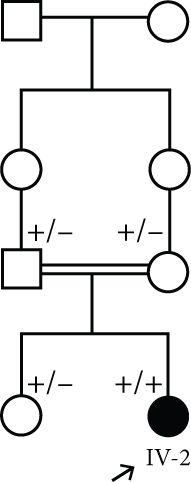 Details are in the caption following the image